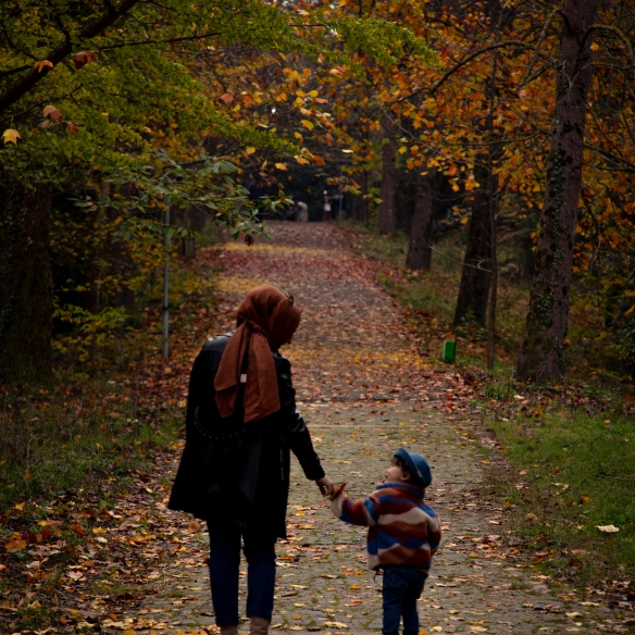 法定養育費制度について